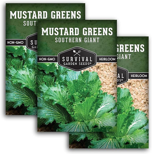 Southern Giant Mustard Green Seeds for Planting – Heirloom Non-GMO Spicy Greens, Heat Tolerant and Slow to Bolt for Home Vegetable Gardens - Survival Garden Seeds (3 Packs)