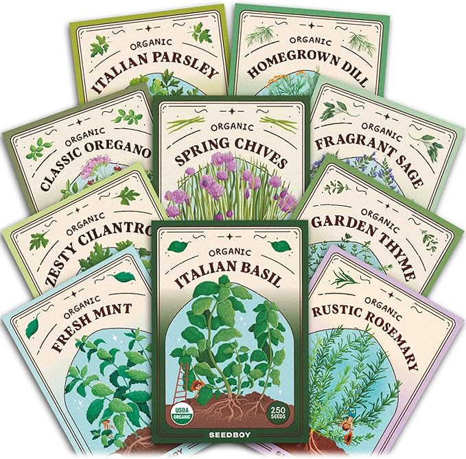 Seedboy Organic Non GMO 10 Herb Variety Pack: Basil, Cilantro Mint Oregano Parsley Thyme Chives Dill Sage Rosemary for Planting Indoor and Outdoor, 5460 USDA Certified Seeds (10 Herb Variety Pack)