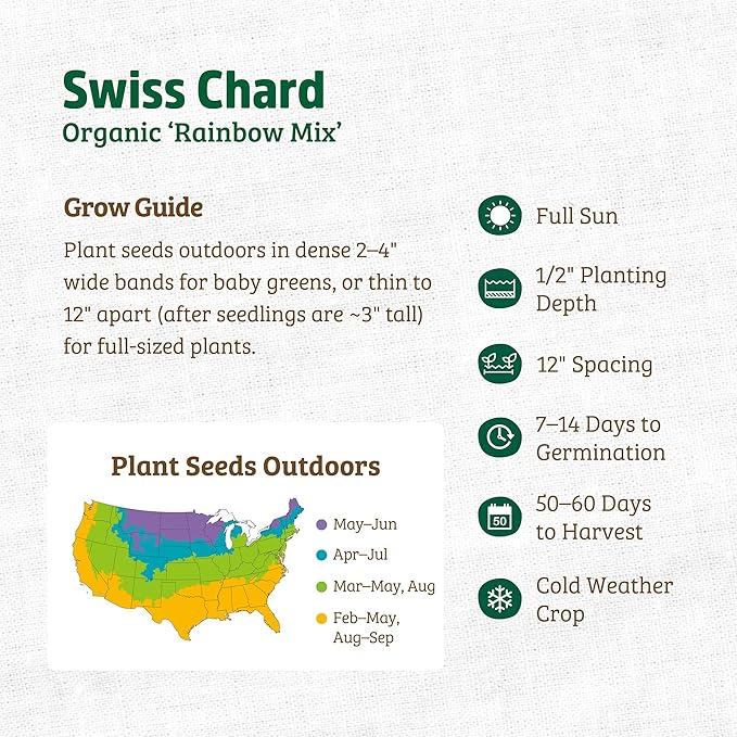 Back to The Roots 100% Organic Heirloom Seeds - Five Color Silverbeet Swiss Chard Value Pack (420mg Total)