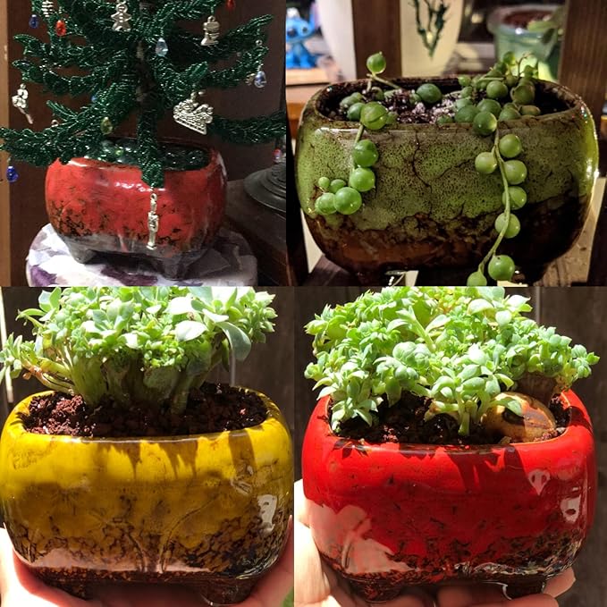 ARTKETTY Succulent Pots - 4.7 Inch Ceramic Succulent Planters Pots with Drainage Set of 5, Rectangular Bonsai Pots with Bamboo Trays Small Pots for Indoor Cactus Flower Plants for Home Office Decor