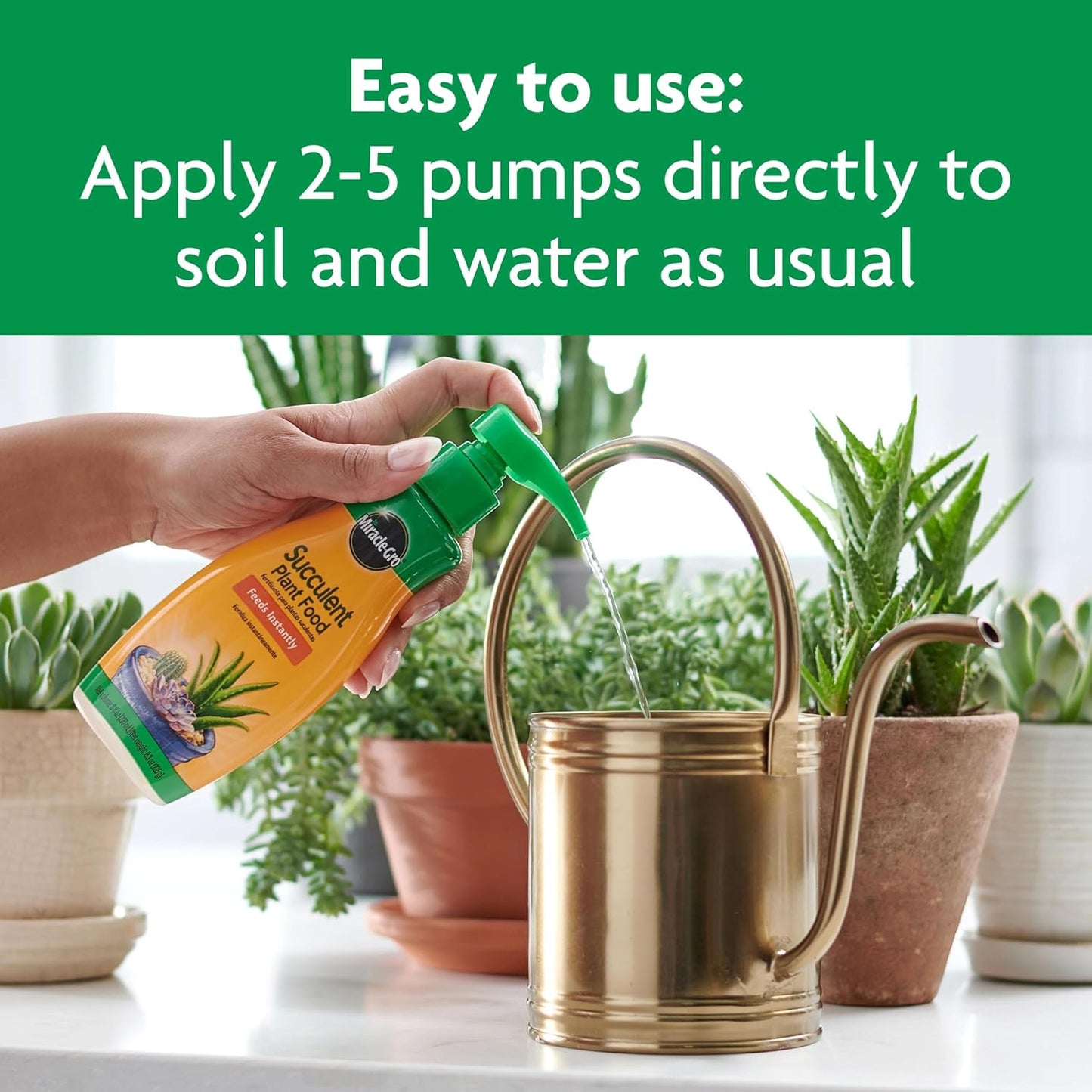 Miracle-Gro Succulent Plant Food, 8 oz., For Succulents including Cacti, Jade, And Aloe