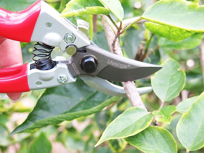 Sharp Blades Bypass Pruning Shears 8 Inch Garden Shears, Clippers, Scissors (MSG301)