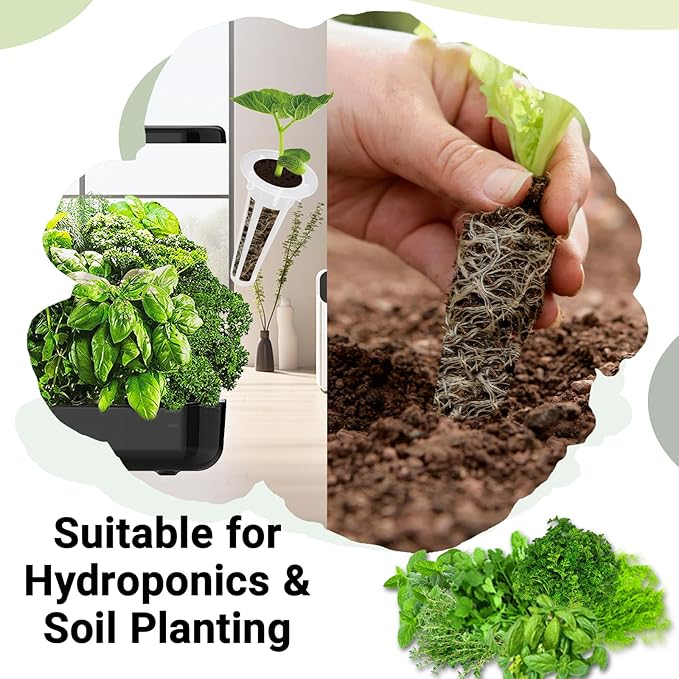 Herb Seed Pods for All Hydroponics Growing Systems, 8 Pods with 600+ Seeds of Cilantro, Thyme, Mint, Genovese Basil, Curly Parsley and Dill