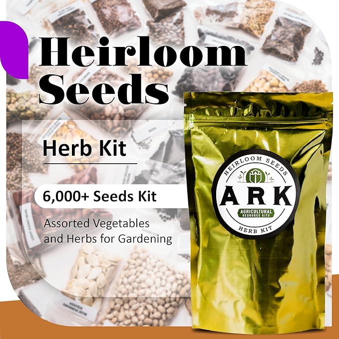 Herb Kit - 6,000+ Seeds for Cilantro, Basil, Dill, Oregano, Parsley, Chives, and Thyme - for Fresh Cooking - Grow Indoors or Outdoors - Ideal for Beginners and Gardening Enthusiasts