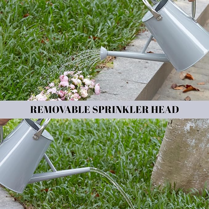 1.5 Gallon Watering Can for Outdoor Plants,Large Metal Plant Watering Pot with Removable Spout,Flower Garden Water Can Watering Pot,Galvanized Steel Watering Can with Stainless Steel Handles,Grey