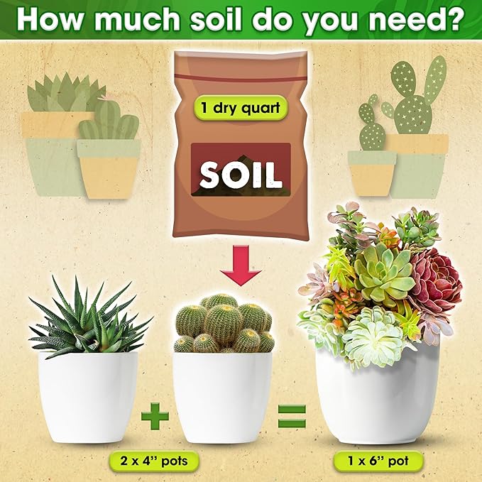 DUSPRO Succulents Soil Potting Mix โ 7 in 1 Ingredients Well-Draining, Nutrient-Rich Cactus Potting Soil for Succulents and Cacti, Indoor & Outdoor Use, Ready to Use, Supports Healthy Root Growth, 8QT