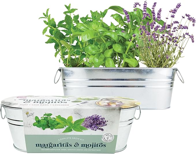 BUZZY Seeds Margarita and Mojito Windowsill Mini Garden Grow Kit, Herb Starter Set with Mint, Lime Basil and Lavender Seeds, Grow Your Own Herbs Indoors, Gardening Gift, Holiday Present