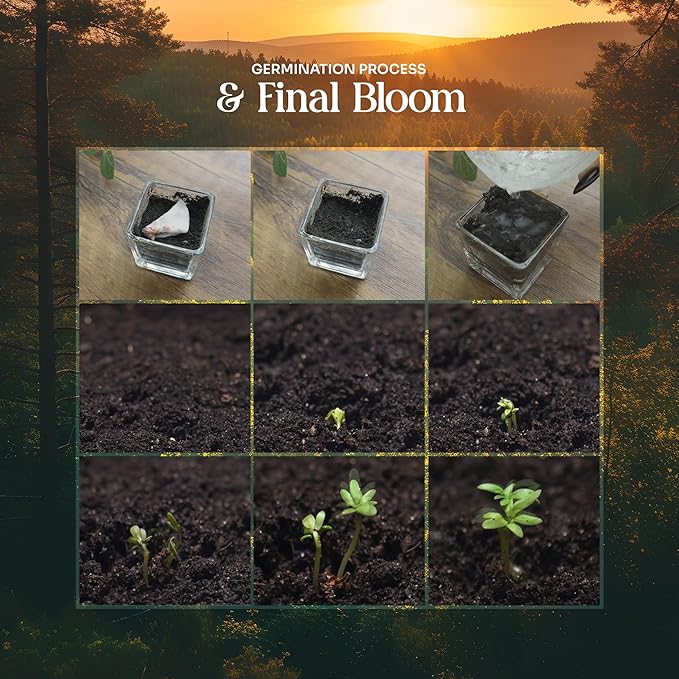 Baby Bottle Shaped Seed Paper – 5 Pink Baby Shower Favors for Guests with Wildflower Seeds, Writable & Plantable, Gender Reveal, Birthday Gifts for Guest