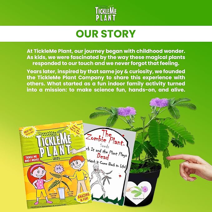 Zombie Plant Seed Packets β Grow a Live Sensitive Plant That Plays Dead When Touched! Indoor Plant Seeds & Educational STEM Activity | House Plant Seeds | Unique Garden Seeds β 2 Pack