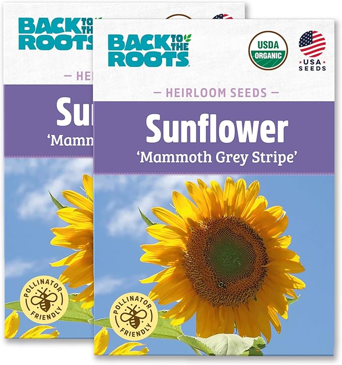 Back to The Roots 100% Organic Heirloom Seeds - Mammoth Giant Sunflower Value Pack (4.8g)