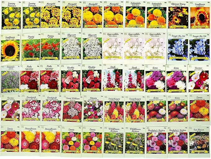 Set of 500 Flower Seed Packets - Flower Seeds in Bulk - 15 or More Varieties Available - Great for Creating Colorful Gardens (500)