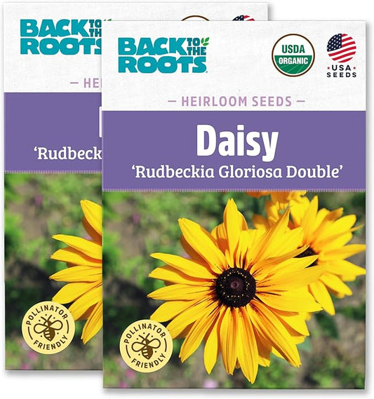 Back to The Roots 100% Organic Heirloom Seeds - Daisy Flower Value Pack (600mg Total)