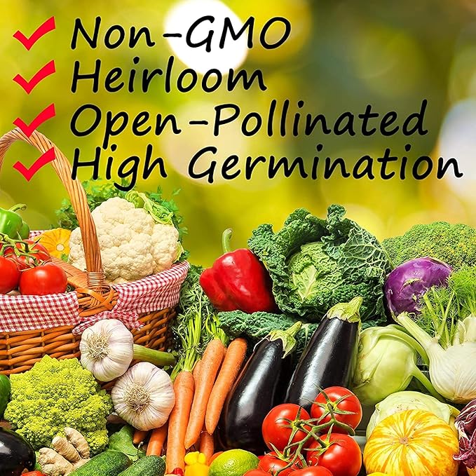 Cinnamon Basil Seeds for Planting Heirloom Non GMO Packets 750 Seeds – Plant & Grow Cinnamon Basil Indoor Hydroponics or Outdoor Gardening, Great Gardening Gift – 3 Packets, Purple