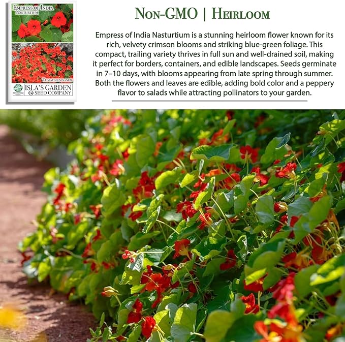 Empress of India Nasturtium Seeds (Tropaeolum nanum) โ 50+ Heirloom Non-GMO Seeds by Islaโs Garden Seeds, Deep Crimson Blooms & Dark Green Foliage, Edible Flowers, Perfect for Gardens & Containers