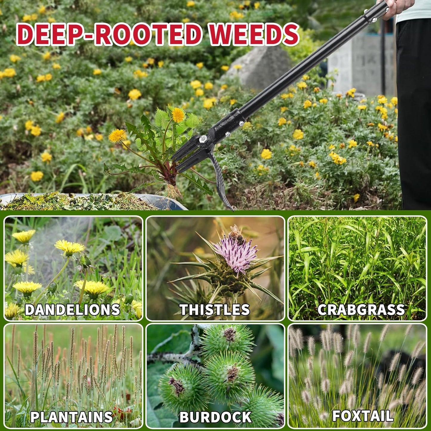 Pro Weed Puller, Heavy-Duty Stand-Up Weed Puller Tool with 45-G Steel Shaft & 2.7" 4-Claw Design - Adjustable 45" Long Handle, Foot Pedal, Effortless Root Removal without Pulling,Bending,Kneeling