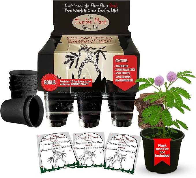 Zombie Plant Greenhouse Grow Kit - Touch It and Watch It Play Dead - Unique Grow Kit to Cultivate a Fun Indoor Plant That Revives in Minutes - Cool Plants and Great for Housewarming Gifts