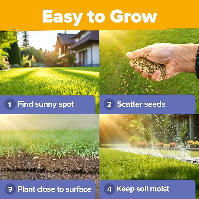 HOME GROWN Wildflower Seeds Mix - 47,400+ Non-GMO USA-SOURCED Seeds - 19 Perennial Flower Varieties for Planting Outdoors - Attract Butterflies & Birds - 3oz Wild Flower Seed Mix