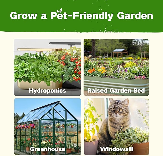 Lush&Dew Pet-Friendly Heirloom Seed Bank, Gardening Gifts for Women Men, 16 Varieties 15,000+ Non-GMO Seeds for Planting Herbs Flowers Vegetables in Raised Bed Windowsill, Annuals & Perennials