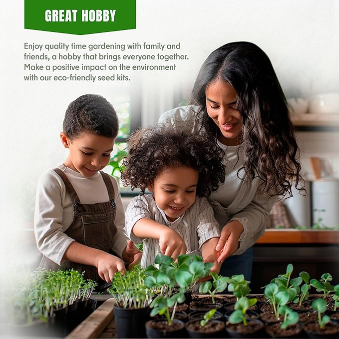 15 Lettuce & Salad Greens Seeds Variety Pack Lettuce Garden Salad Kit with Plant Labels 7300+ Non-GMO Heirloom Arugula Spinach Kale Iceberg Lettuce Seeds for Planting Outdoors Indoors