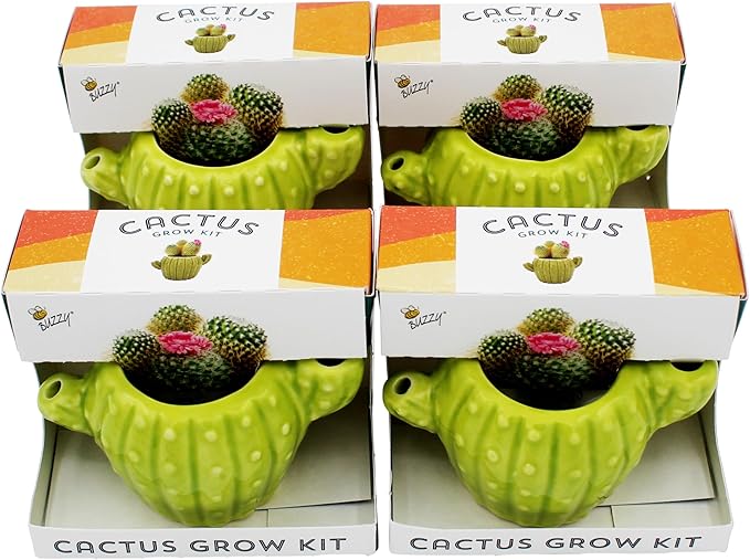 BUZZY Seeds 4pk Mini Cactus Grow Kit with Ceramic Planter, Succulent Seeds, Growing Medium, Easy Instructions, Indoor Gardening Gift for Beginners, Birthdays, Housewarming and Home or Office Décor