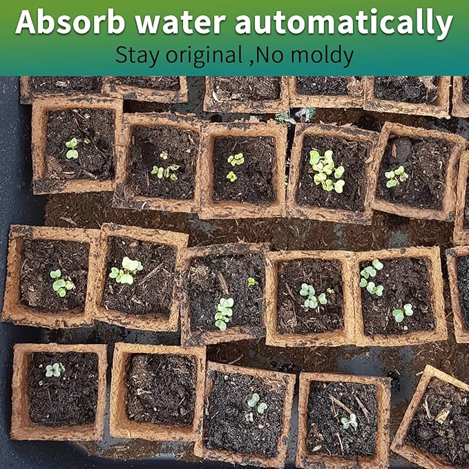 640Cells Seedling Start Trays,40 Pack Peat Pots Seedling Pots Biodegradable,Seedling Starter Kit,Organic Germination Plant Starter Trays