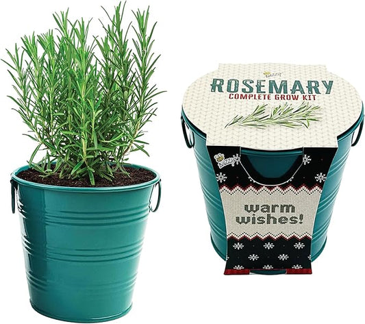 BUZZY Seeds Holiday Rosemary Grow Kit – Indoor Herb Garden Starter Pail with Non-GMO Seeds, Growing Medium, and Easy Instructions – DIY Christmas Gardening Gift, Stocking Stuffer