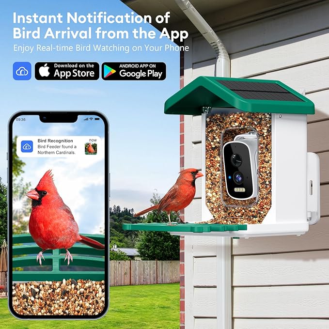 Smart Bird Feeder with Camera, AI Bird Species Identification Solar Powered Panel, 2.5k HD Video Bird House with Camera for Outside Garden, Ideal Gifts for Lover,Green