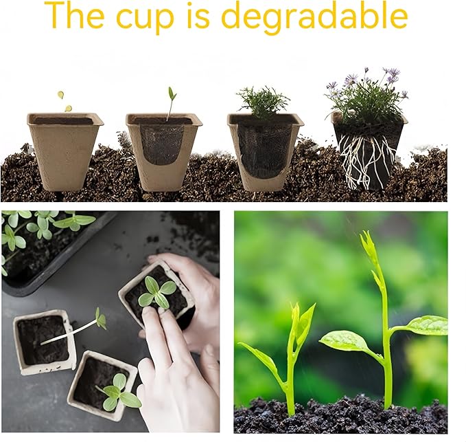 580 Cells Peat Pots Seed Starter Tray 58 Packs Biodegradable Seedling Pots Germination Trays Peat Pot for Seedling Organic Seed Starting Trays kit with 58 Labels 2 Transplant Tools