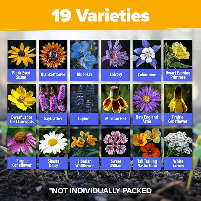 HOME GROWN π¨π¦π π£π₯ππ ππ¨π  Wildflower Seeds Bulk 4 oz 63,200+ Seeds 19 Varieties Non-GMO Perennial Mix, Butterfly & Pollinator Flower Seeds, Attract Bees, Birds & Hummingbirds, Outdoor Planting