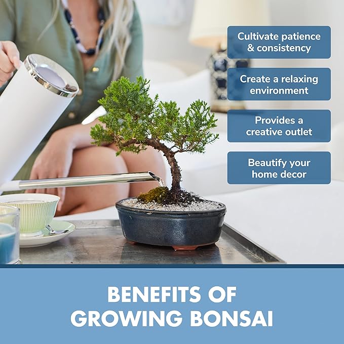 Garden Republic Bonsai Tree Kit - Mini Bonsai Seeds, 4 Types - Seed Starter Plant Growing Kit - Potting Soil Jute Bags Pruning Shears Scissor Tool Plant Markers - Gardening Gifts