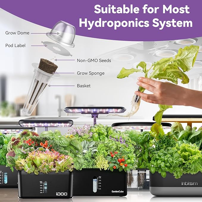 inbloom Salad Romaine Lettuce Seed Pod Kit for AeroGarden, Ahopegarden Hydroponics Growing System, 7-Pods (350+ Seeds, Include American Fast Lettuce, Parris Island Lettuce, Butter Lettuce)