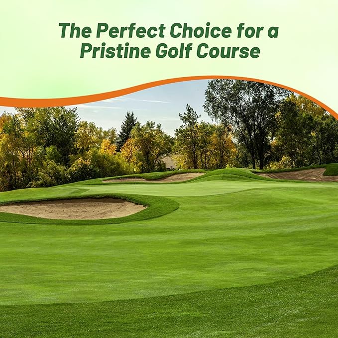 Outsidepride V8 Creeping Bentgrass Seed - 5 lbs. Fine-Bladed, Premium Quality Turf, Grass Seeds for Smooth Surface, & High-Traffic Areas, Ideal Grass for Golf Courses Putting Greens, & Fairways