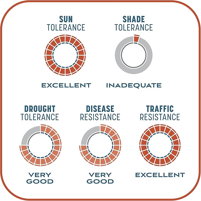 Pennington Smart Patch Bermudagrass Mix 30 lb