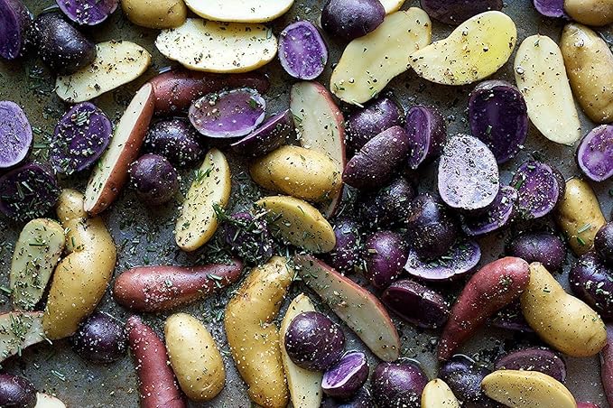 Simply Seed - 10 Piece - Fingerling Potato Seed Mix - Non GMO - American Raised - Ready for Planting