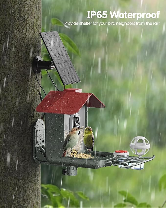 Bird Feeder with Camera Outdoor Solar: Smart Birdfeeder Cam for Outside Garden - 2K HD Live Video Camera AI Recognition Visible Window Auto Capture - Bird Lover Gifts