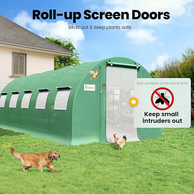 KING BIRD Premium 25x10x6.6FT Greenhouse for Outdoors, Large Walk-in Upgraded Galvanized Metal Frame, Mesh Door Screen Window Improved Zipper Tunnel Hoop for Garden Plant Winter, 2 Stiffeners, Green