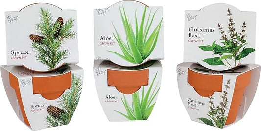 BUZZY Seeds Terracotta Mini Grow Pots | Herb, Plant, Flower Starter Kit for Kids & Adults | Assorted 6-Pack, Radiant Collection | Guaranteed to Grow | Best Indoor Grow Your Own Plant Gardening Gift