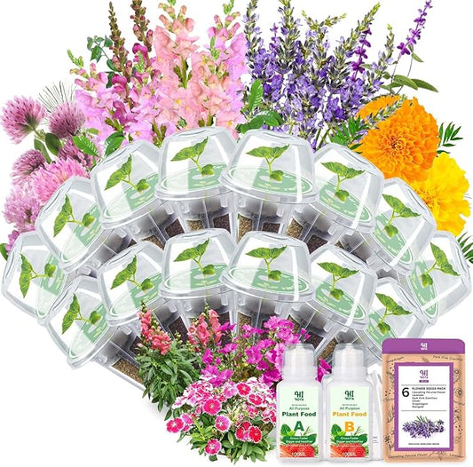 Flower Seed Pod Kit, Grow Anything Kit for All Hydroponics Growing Systems, 14 Pods with 600+ Seeds of Cascading Petunia Flower/Lavender/Dark Pink Dianthus/Clover/Snapdragon/Marigold