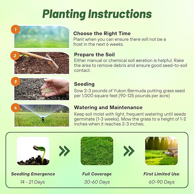 Outsidepride Yukon Bermuda Grass Seed - 1 lbs Cold & High Traffic Tolerant, Premium Hybrid Bermuda Turf Grass Seeds for Lawn, Ideal Low Maintenance Seed Grass for Colder & Challenging Area