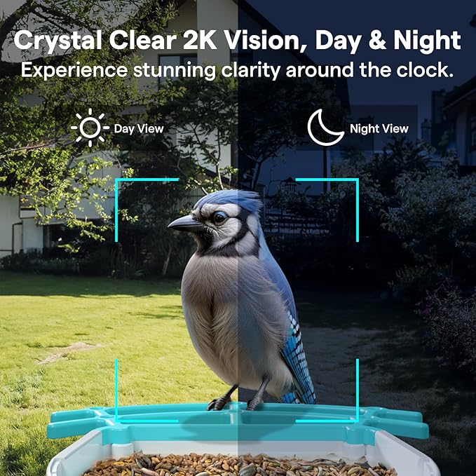 BirdsView Solar Powered Bird Feeder with 2K Ai Camera, Hummingbird Feeder, Bird House Camera, Live Alerts & Species Recognition โ Gift for Bird Lovers
