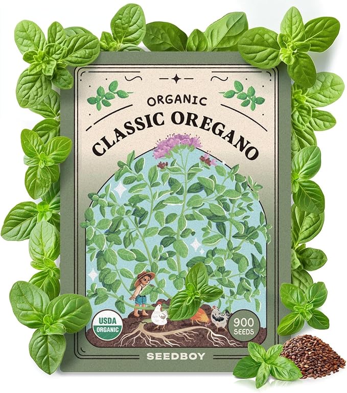 Seedboy Organic Oregano Seeds for Planting Indoor and Outdoor, Non-GMO and USDA Certified Herb Seed Packet for Hydroponic Garden Indoor or Planting Outdoors (Italian Oregano)