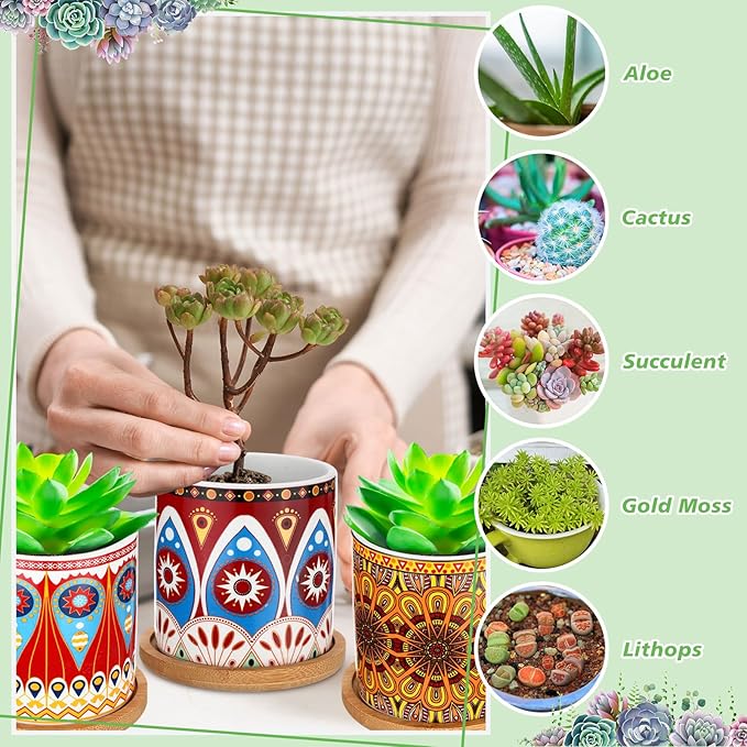 Zopeal 6 Pcs 3 Inch Succulent Pots Succulent Planters Cylinder Ceramic Pots Mandala Multicolor Cactus Pot with Drainage Holes and Bamboo Trays for Indoor Plants Flowers Garden Decoration (Core)