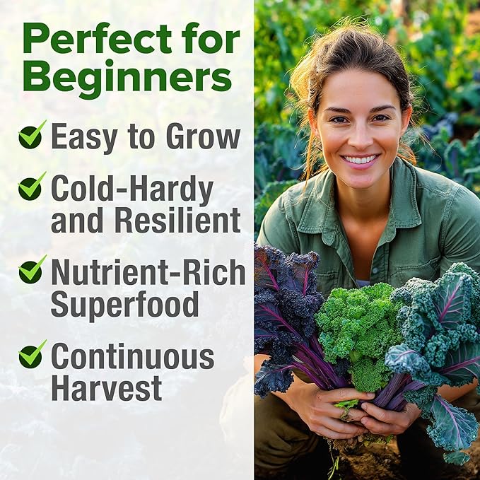 HOME GROWN π¨π¦π π£π₯ππ ππ¨π  Heirloom Vegetable Seeds π‘π’π‘-ππ π’ Vegetable Seeds for Planting Home Garden, Beans, Carrots, Peppers, Cucumber, Kale, Pepper Seeds, Tomato (4 Kale)