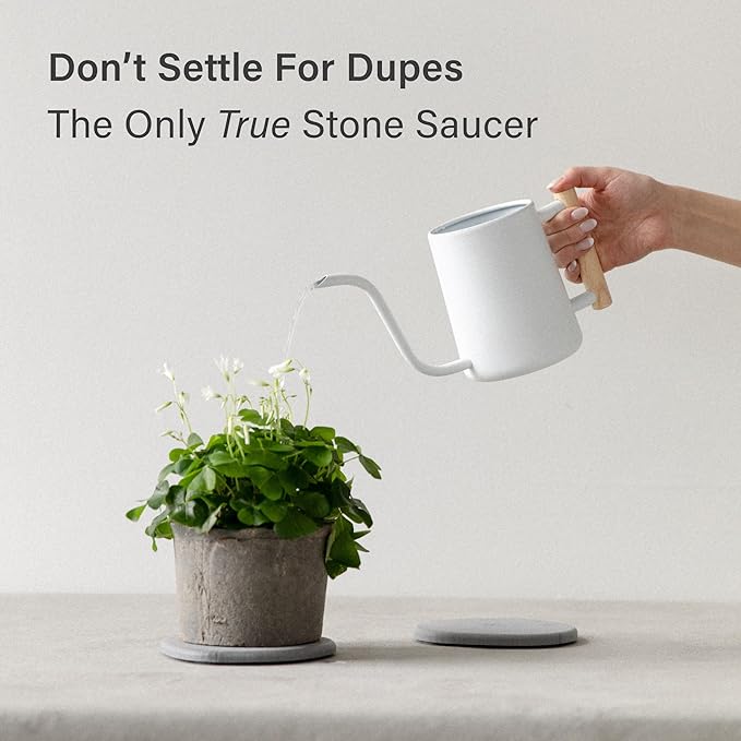 Dorai Stone Plant Pot Saucer – 2 Small Diatomite Water-Catching Trays for Indoor Plants