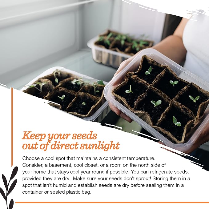 Bentley Seed Medicinal Herbs Starter Kit – Non-GMO Seeds for Indoor Planting - Heirloom Seed Packets - Individual Packets for Chamomile, Lavender, Catnip, Mint, Bee Balm, Lemon Balm, Purple Cone