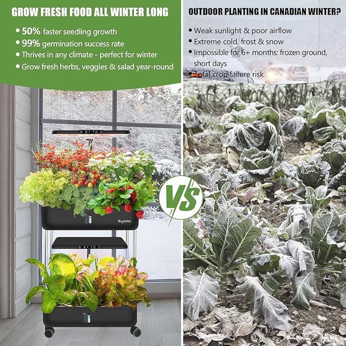 44-Pod Indoor Hydroponic Growing System + 3 Free Seeds Starter Kit (Lettuce, Salad Mixed, Basil Seeds) – Dual 53W Full-Spectrum LED, 10-L Water Tank, 2-Tier Grow Pods