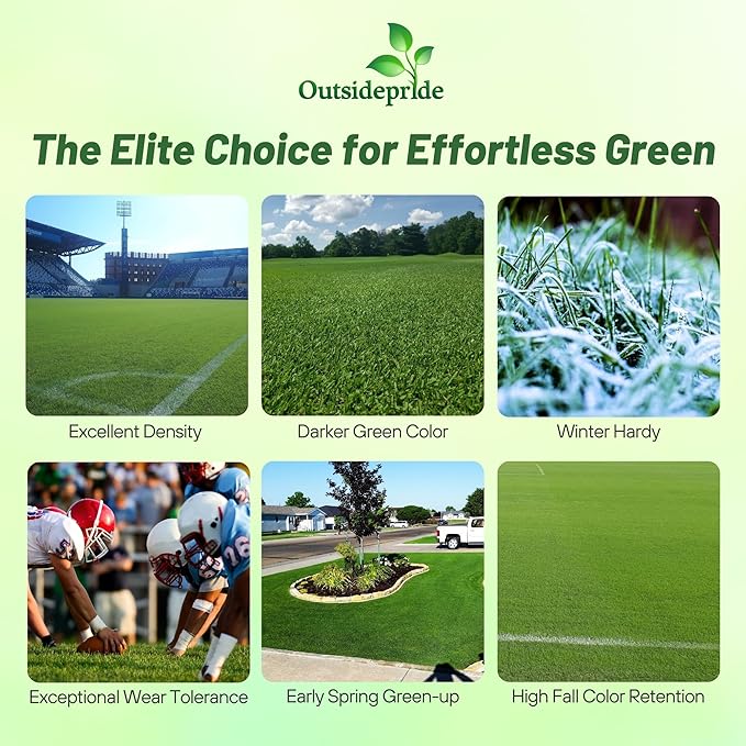 Outsidepride Monaco Bermuda Grass Seed - 2 lbs. Drought-Tolerant, Dense, Wear-Resistant Turf Grass Seeds for Lawn, Sports Fields, & High-Traffic Areas - Ideal for Warm-Season & Transition Zone Areas