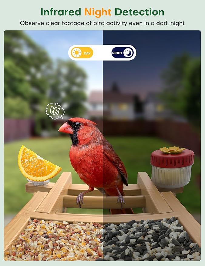 Bird Feeder with Camera: 160° Wide View & 2.5K Live Video, AI Auto Identify 12000+ Birds Species, Instant Arrival Alerts, Eco Natural Bamboo Build, Solar Smart Bird Feeders for Outdoors
