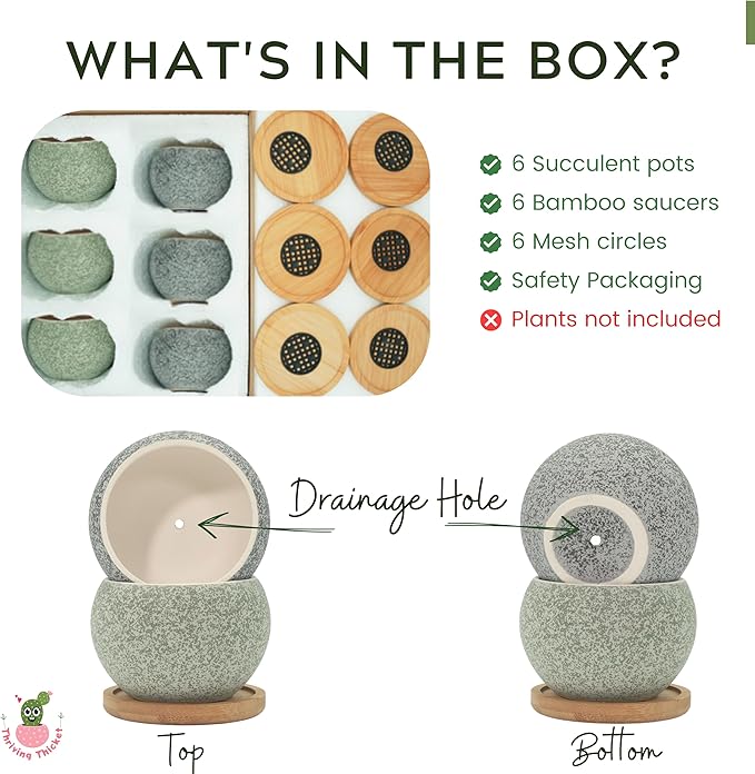 3 inch Ceramic pots for Plants, Small Succulent Pots Set with Drainage, 6 Pack Flower Pot for Indoor Plant, Planters for Little or mini Cactus 2 inches Plants (Green/Black)