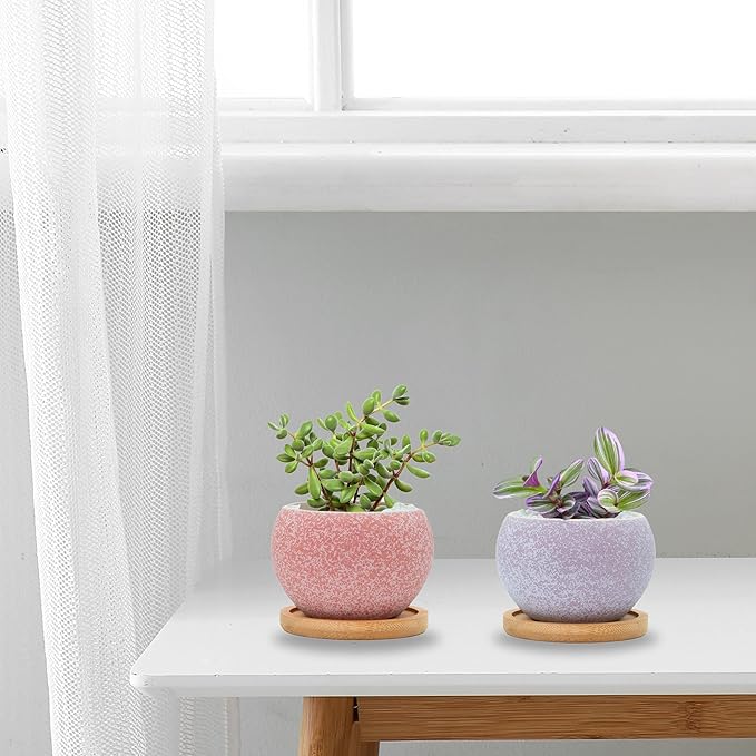 3 inch Ceramic pots for Plants, Small Succulent Pots Set with Drainage, 6 Pack Flower Pot for Indoor Plant, Planters for Little or mini Cactus 2 inches Plants (Pink/Purple)